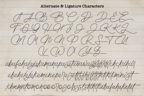 Nebuliqua - Stylish Signature Font - Image 9