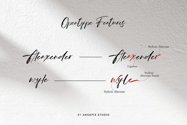 Arianthea Signature - Script Font - Image 7