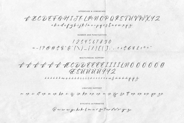 Arianthea Signature - Script Font - Image 5